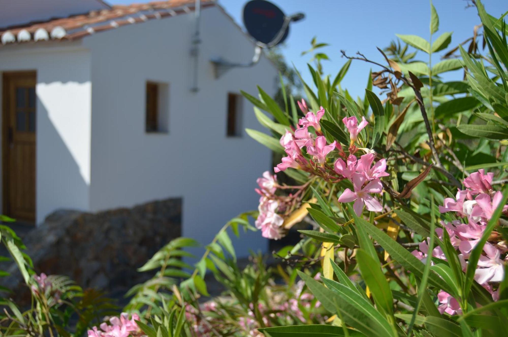 Villa Casa Do Passaro à Galegos  Extérieur photo